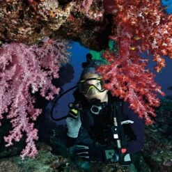 Princeton Tec 1L LED Hand Torch Black -SurviGear Store AMP1LB BK Princeton Tec 1L LED Hand Torch Black2