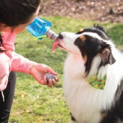 Vapur Ez Lick Portable Dog Water Anti-Bottle 700ml Water -SurviGear Store Vapur Ez Lick Portable Dog Water Bottle 700ml Water 5 1200x1200